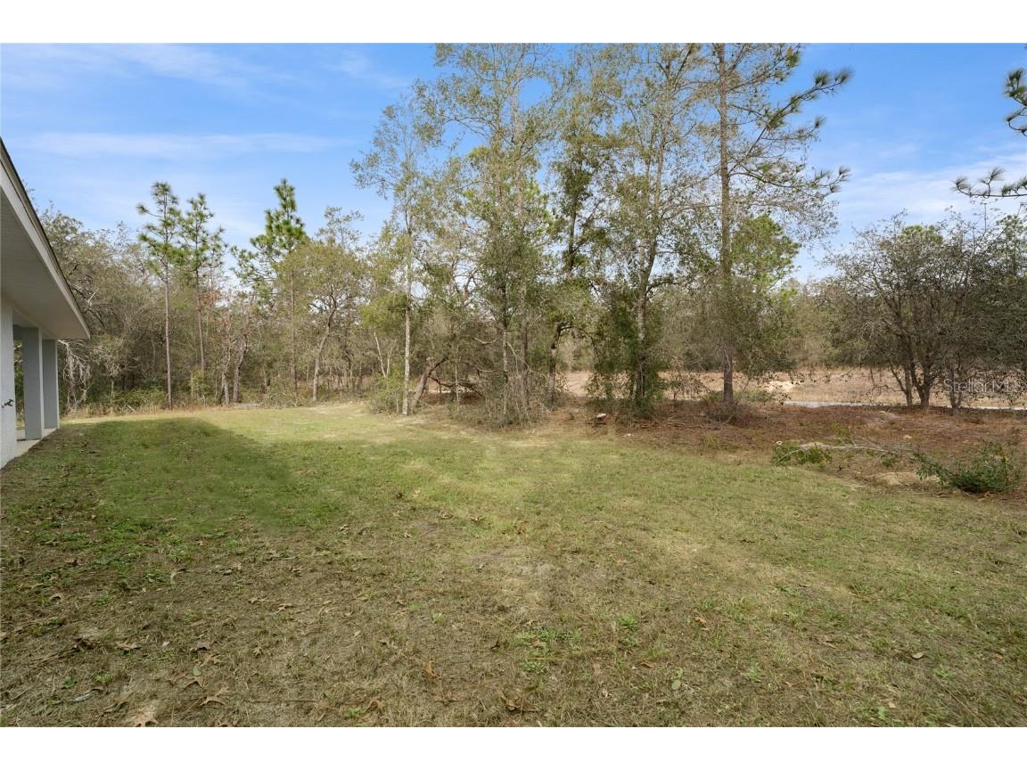 9461 N Sandree Drive Citrus Springs FL 34434 TB8419348 image43