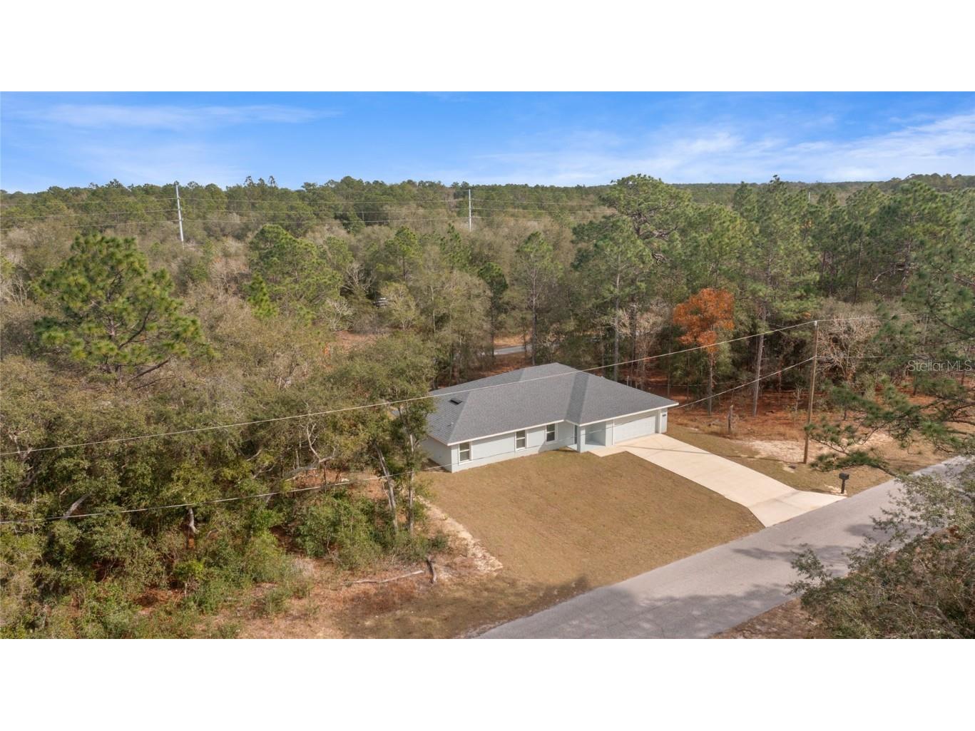 9461 N Sandree Drive Citrus Springs FL 34434 TB8419348 image46