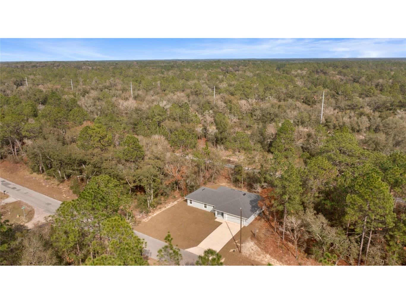 9461 N Sandree Drive Citrus Springs FL 34434 TB8419348 image47