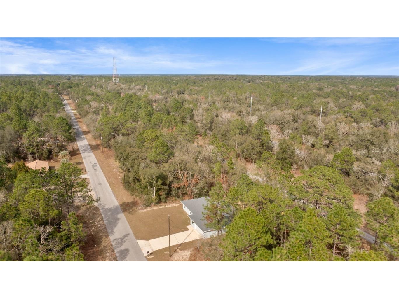 9461 N Sandree Drive Citrus Springs FL 34434 TB8419348 image48