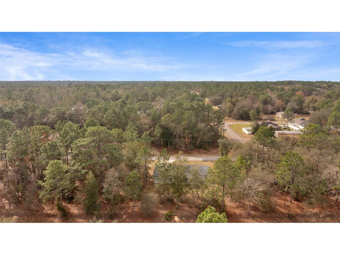 9461 N Sandree Drive Citrus Springs FL 34434 TB8419348 image49