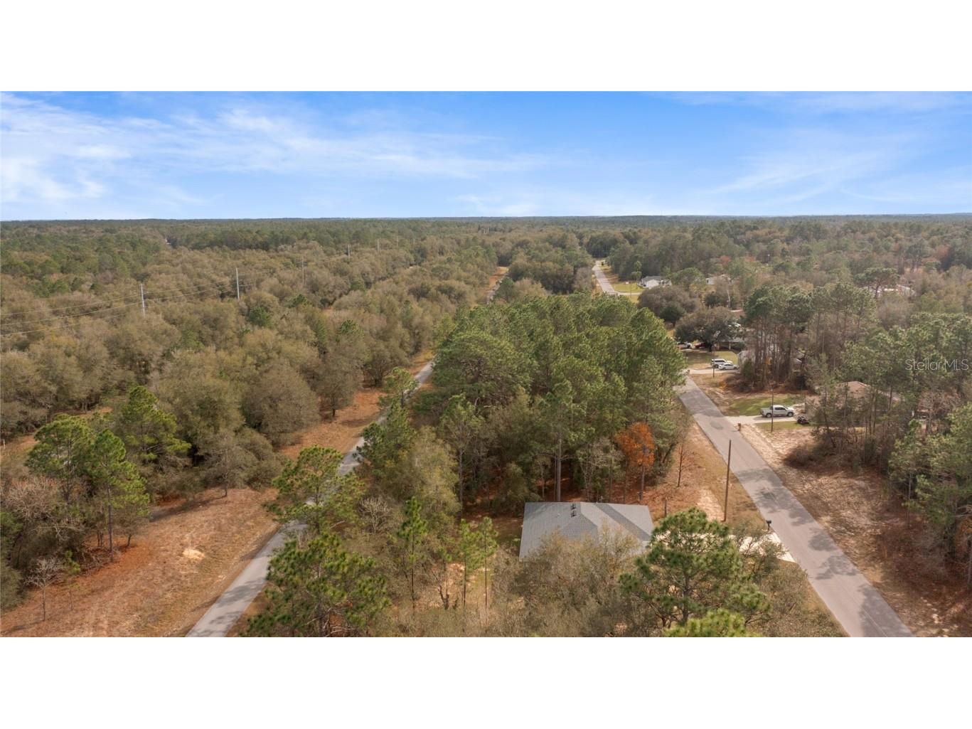 9461 N Sandree Drive Citrus Springs FL 34434 TB8419348 image50