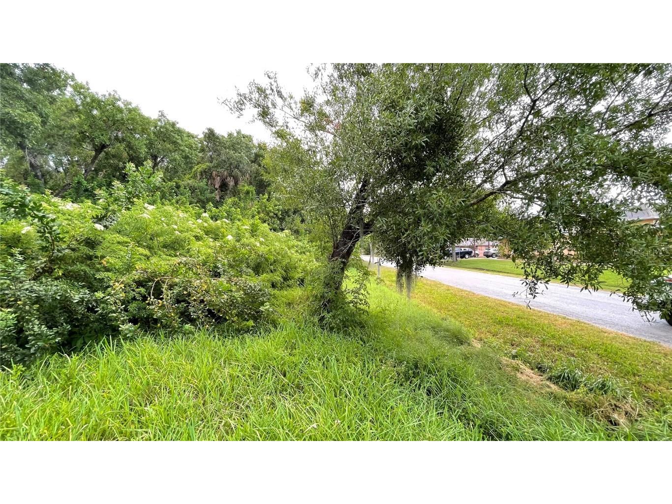 9461 W Norfolk Street Tampa FL 33615 TB8453601 image10