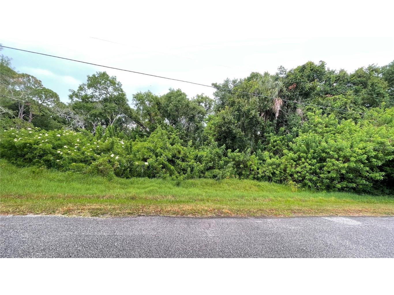 9461 W Norfolk Street Tampa FL 33615 TB8453601 image3