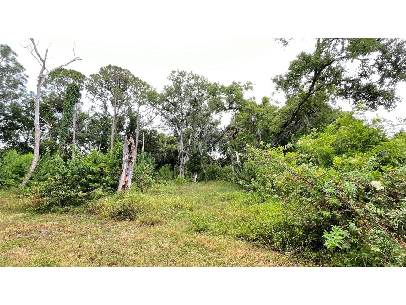 9461 W Norfolk Street Tampa FL 33615 TB8453601 image5