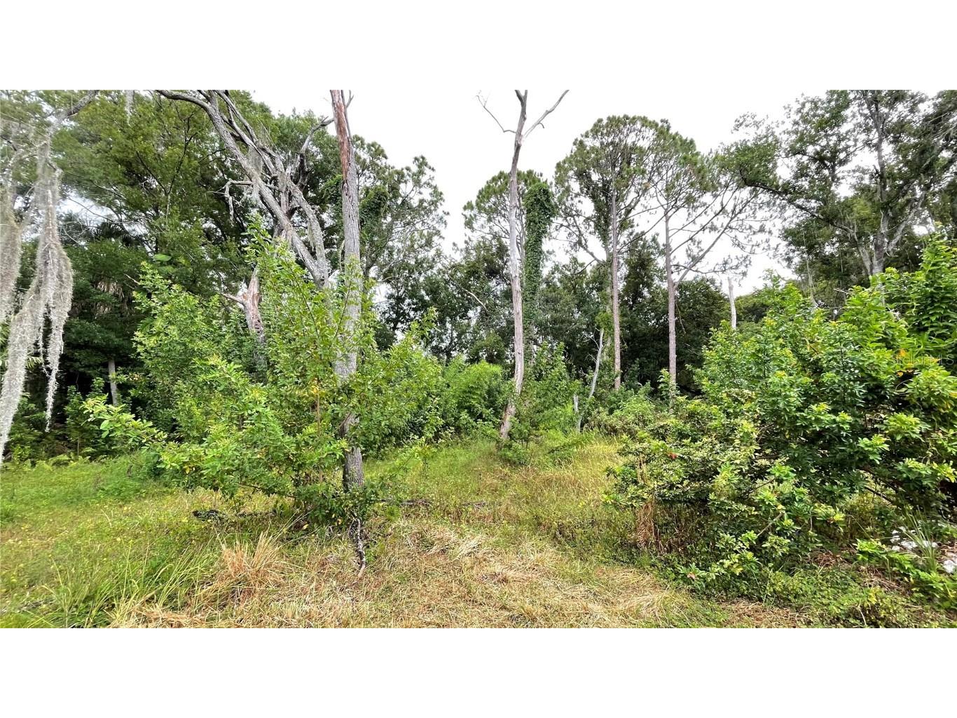 9461 W Norfolk Street Tampa FL 33615 TB8453601 image6