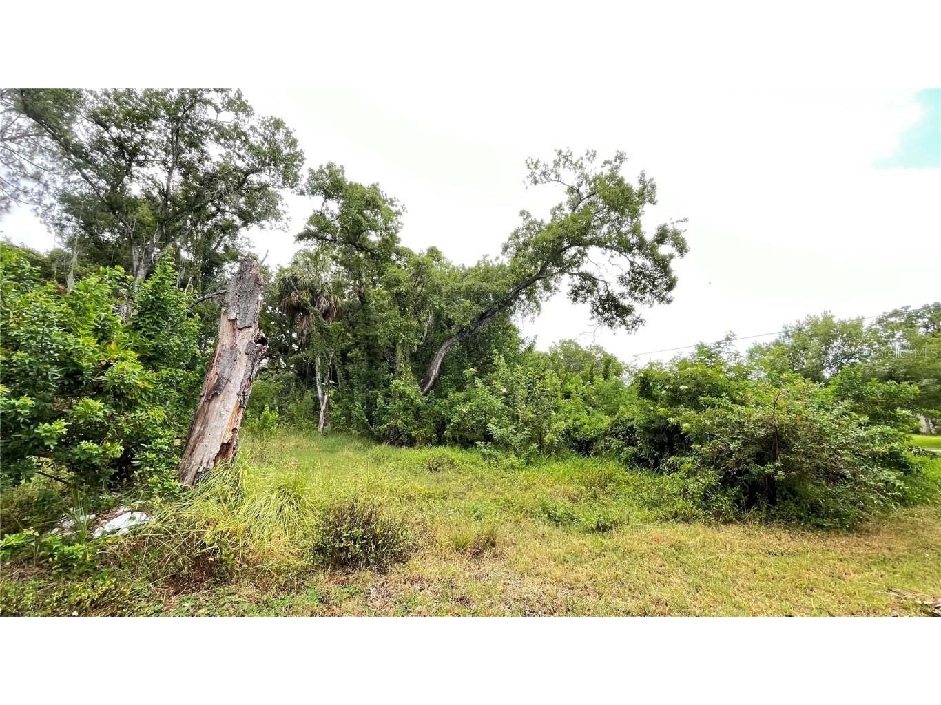 9461 W Norfolk Street Tampa FL 33615 TB8453601 image8