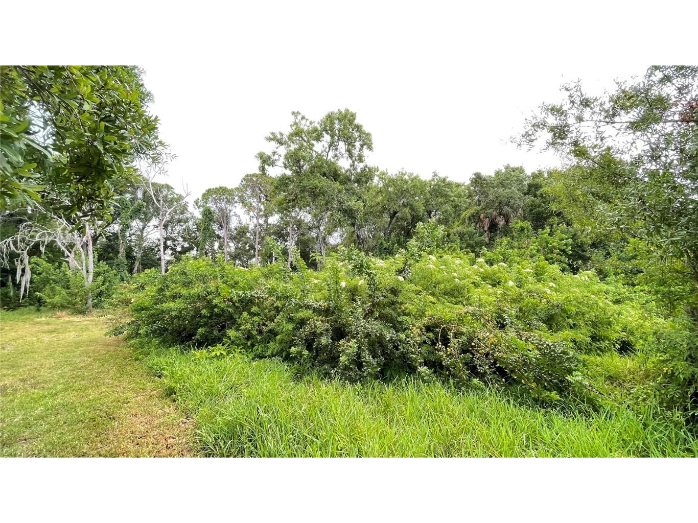 9461 W Norfolk Street Tampa FL 33615 TB8453601 image9