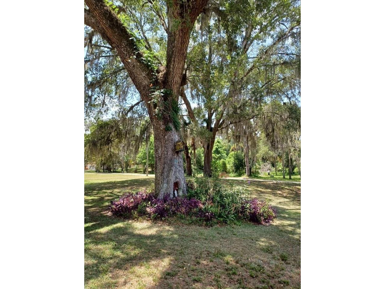 9461 W Tall Pines Court Crystal River FL 34428 OM717438 image6