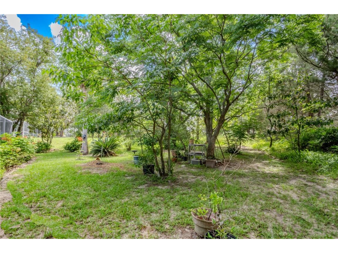 9462 Dunkirk Road Spring Hill FL 34608 O6328769 image23