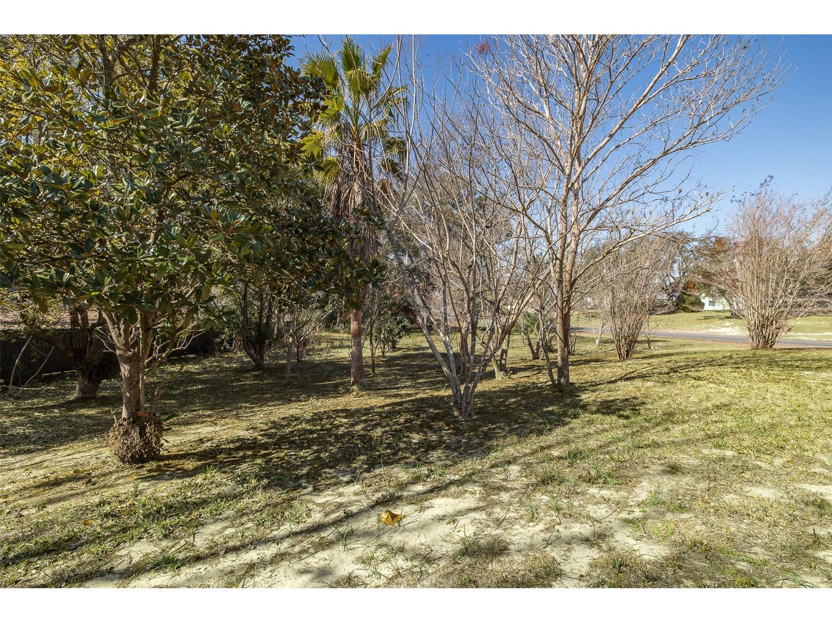 9462 Dunkirk Road Spring Hill FL 34608 TB8475540 image56