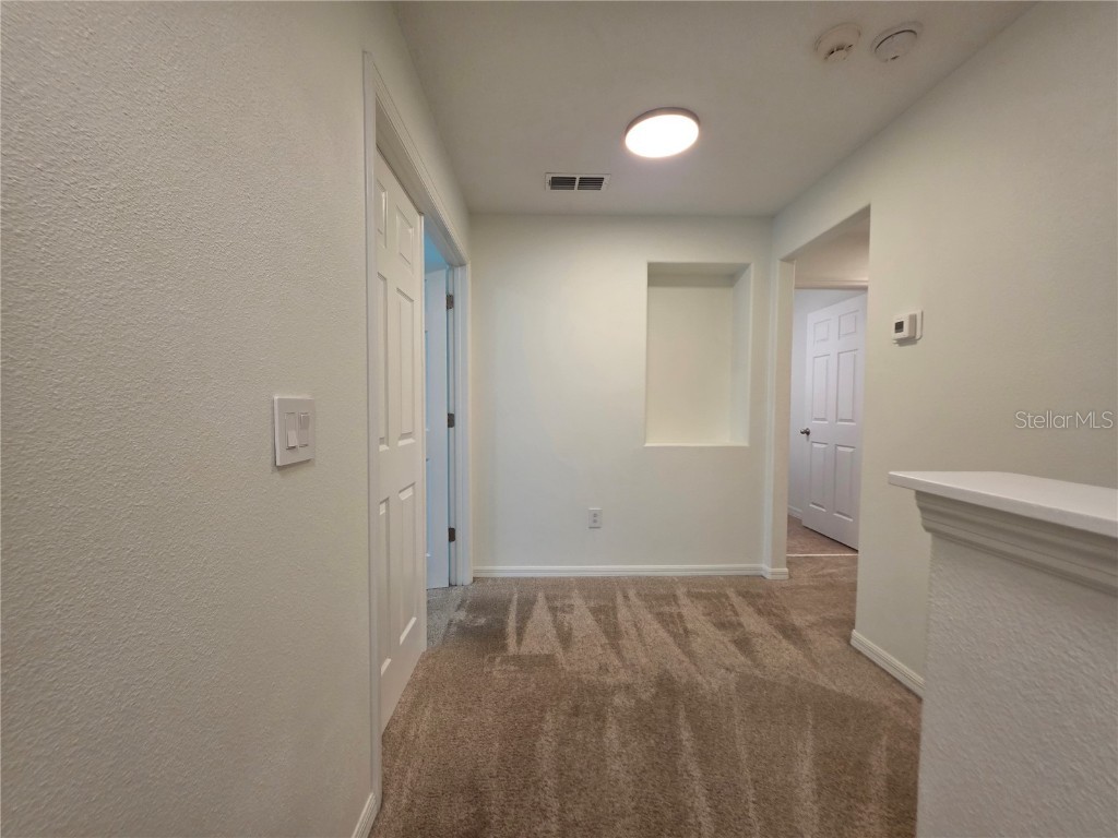 9464 Tawnyberry Street Orlando FL 32832 O6293816 image34