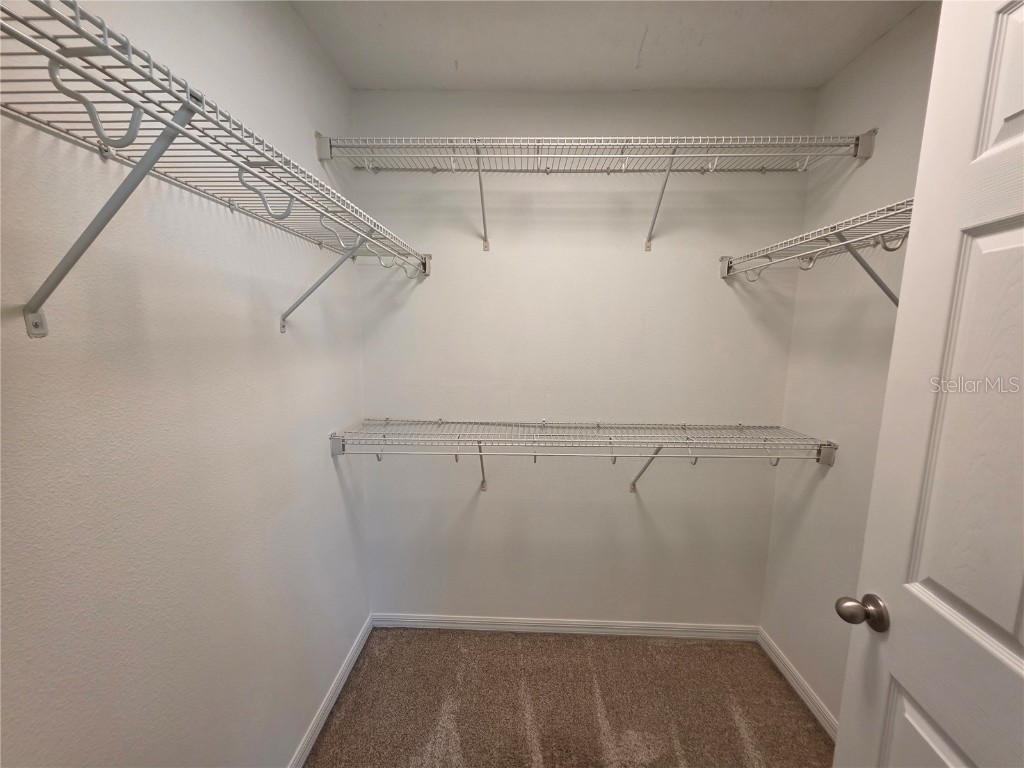 9464 Tawnyberry Street Orlando FL 32832 O6293816 image42