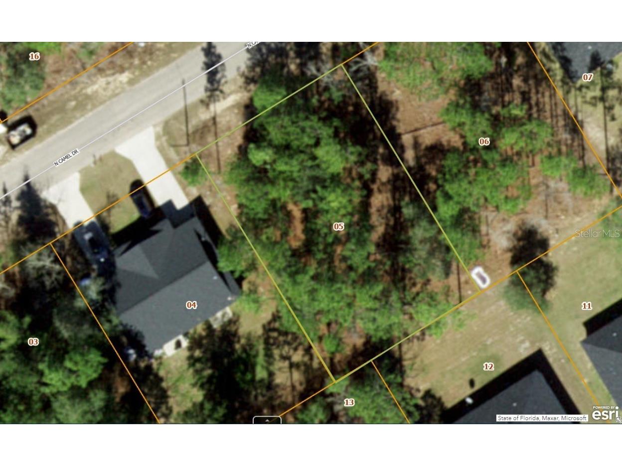 9465 N Camel Drive Dunnellon FL 34434 A4611607 image1