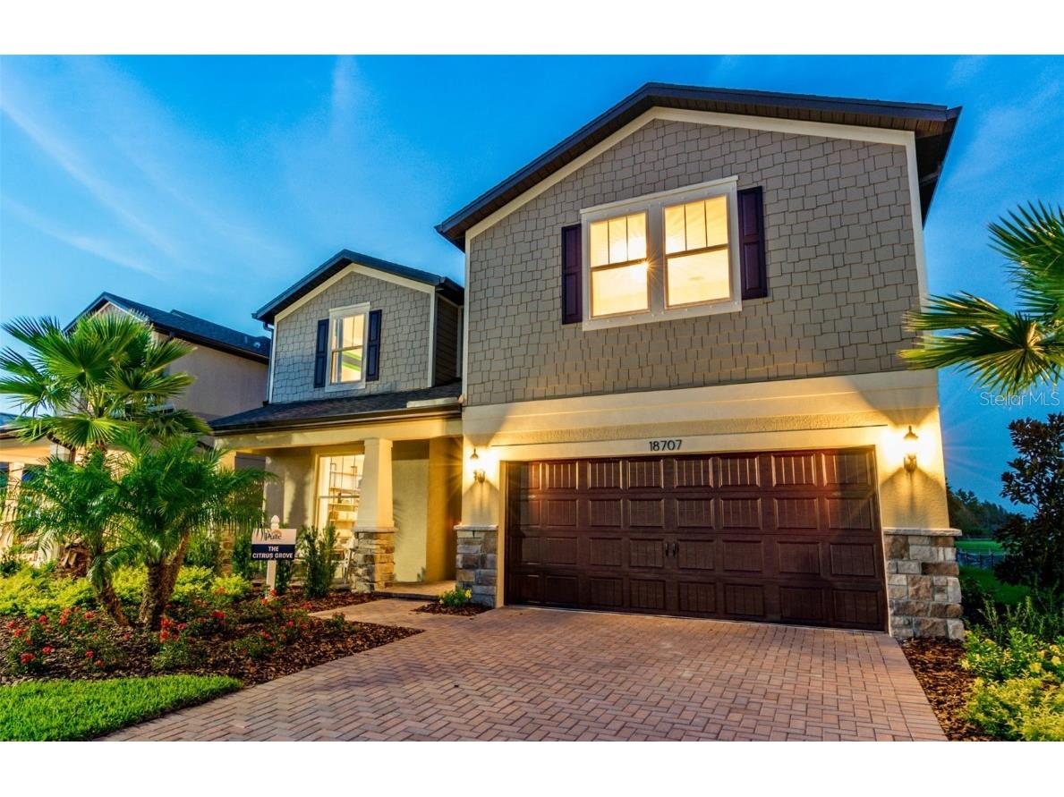 9466 Ibis Grove Boulevard Wesley Chapel FL 33545 T3401165 image1