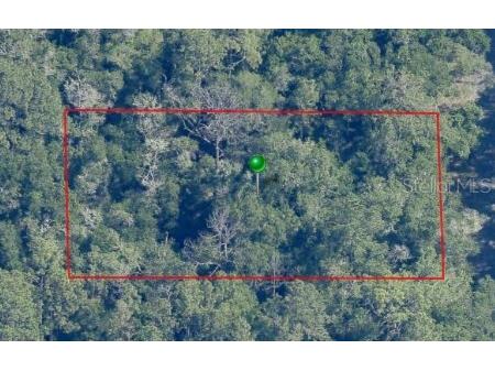 9466 N Irondale Road Dunnellon FL 34434 U8248802 image1
