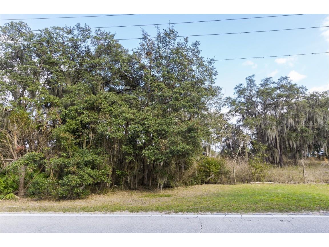 9467 & 0 Evans Road Polk City FL 33868 P4928396 image1