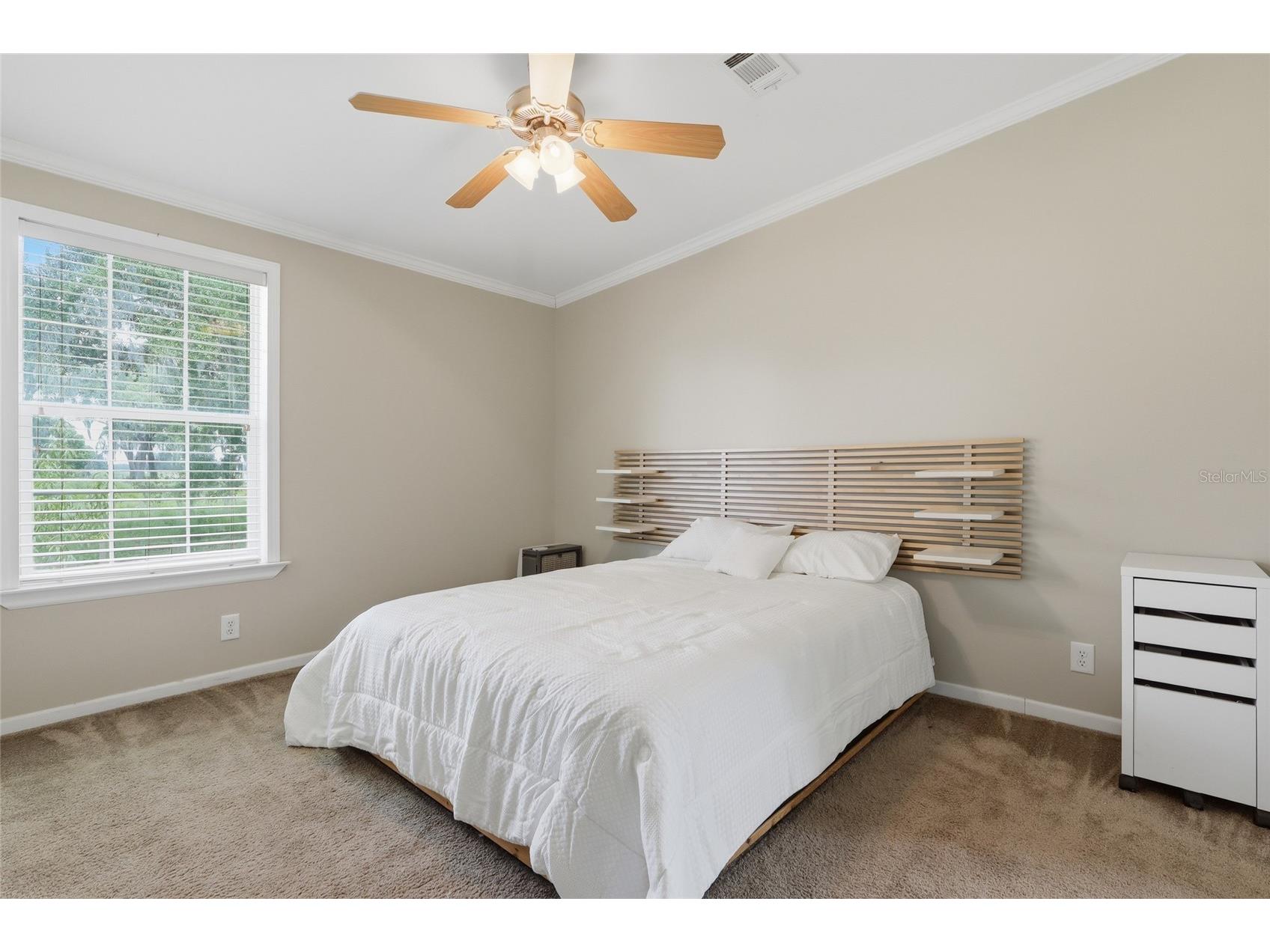 9468 Janmar Road Dade City FL 33525 TB8517452 image25