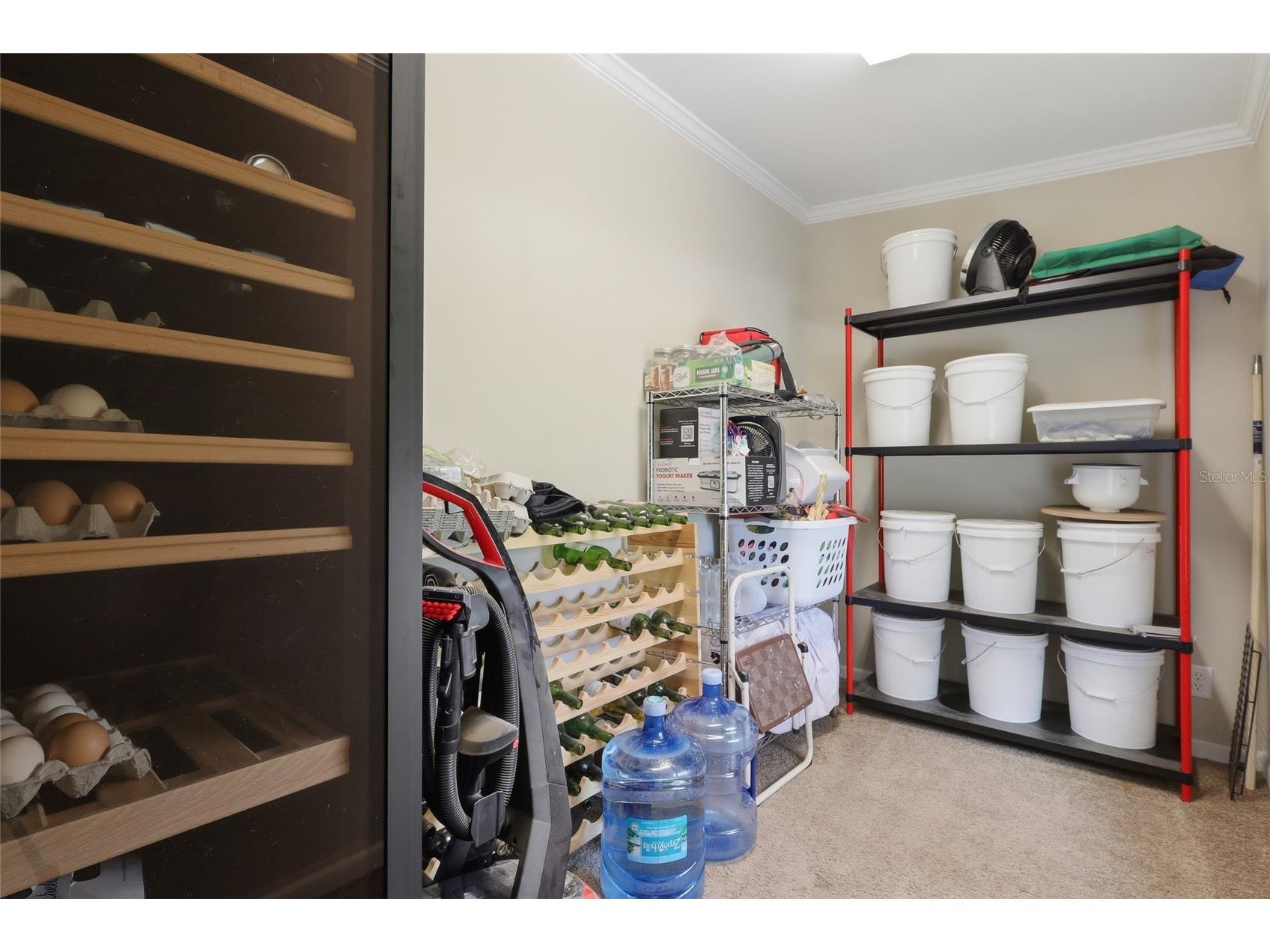 9468 Janmar Road Dade City FL 33525 TB8517452 image31