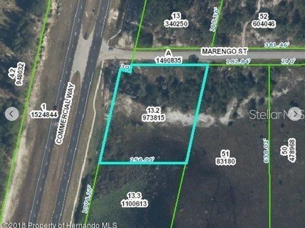 9468 Marengo Street Weeki Wachee FL 34613 TB8410006 image1