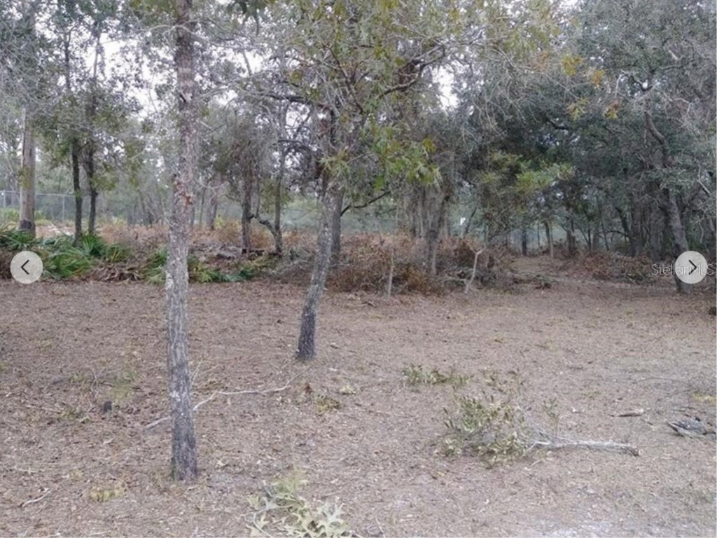 9468 Marengo Street Weeki Wachee FL 34613 TB8410006 image3