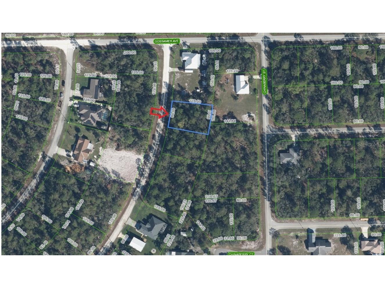 947 Cork Tree Road Lake Placid FL 33852 A4643080 image1