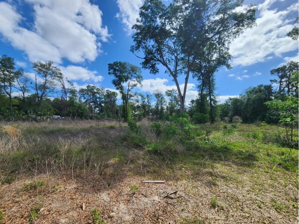 947 Ferne Drive Longwood FL 32779 O6291182 image31