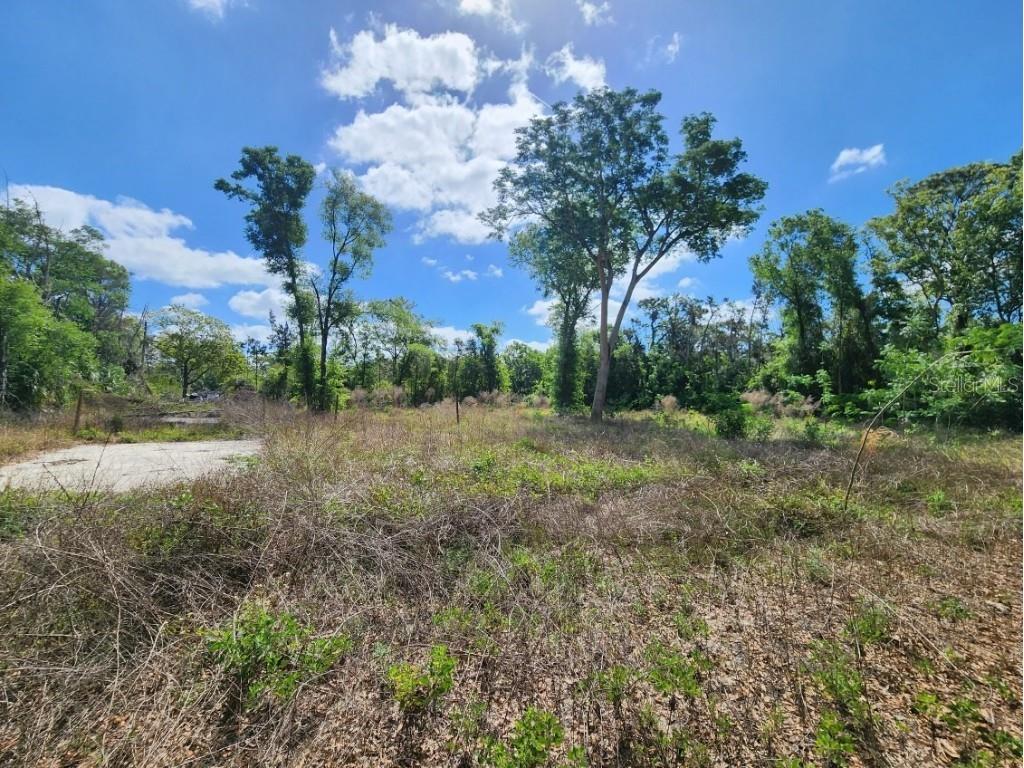 947 Ferne Drive Longwood FL 32779 O6291182 image32