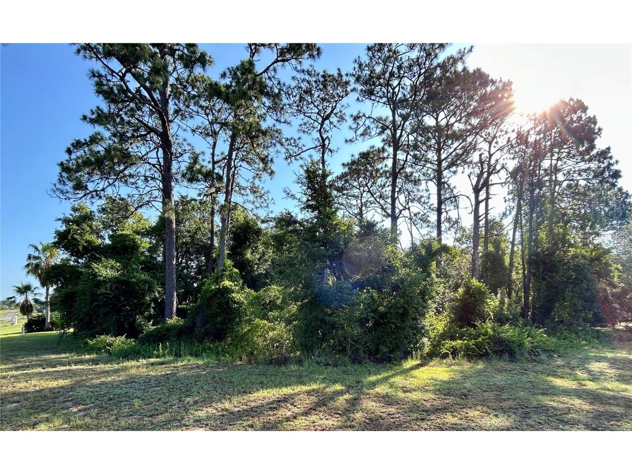 947 N Man O War Drive Inverness FL 34453 OM679814 image1