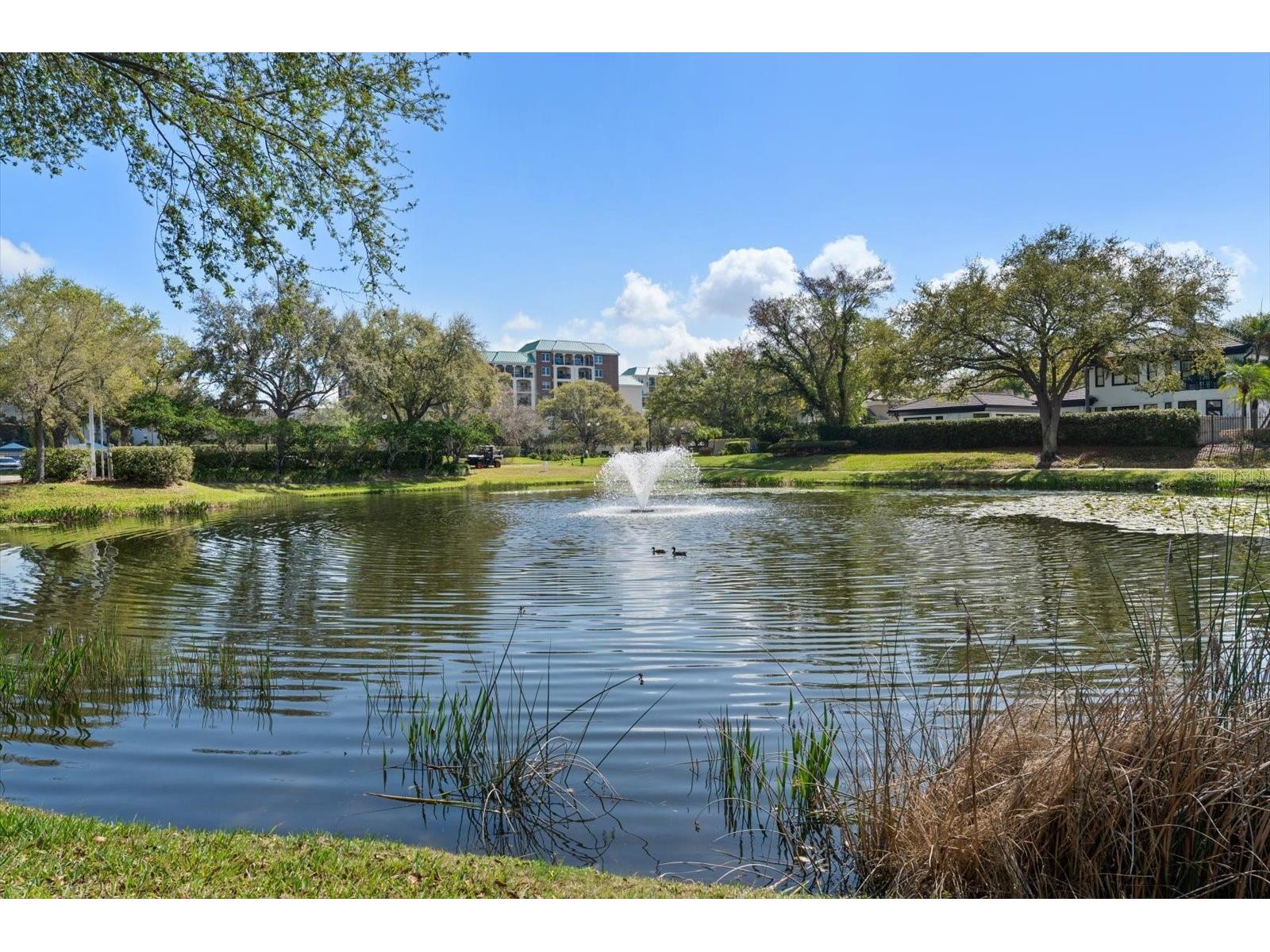 947 Seddon Cove Way #947 Tampa FL 33602 TB8485195 image48