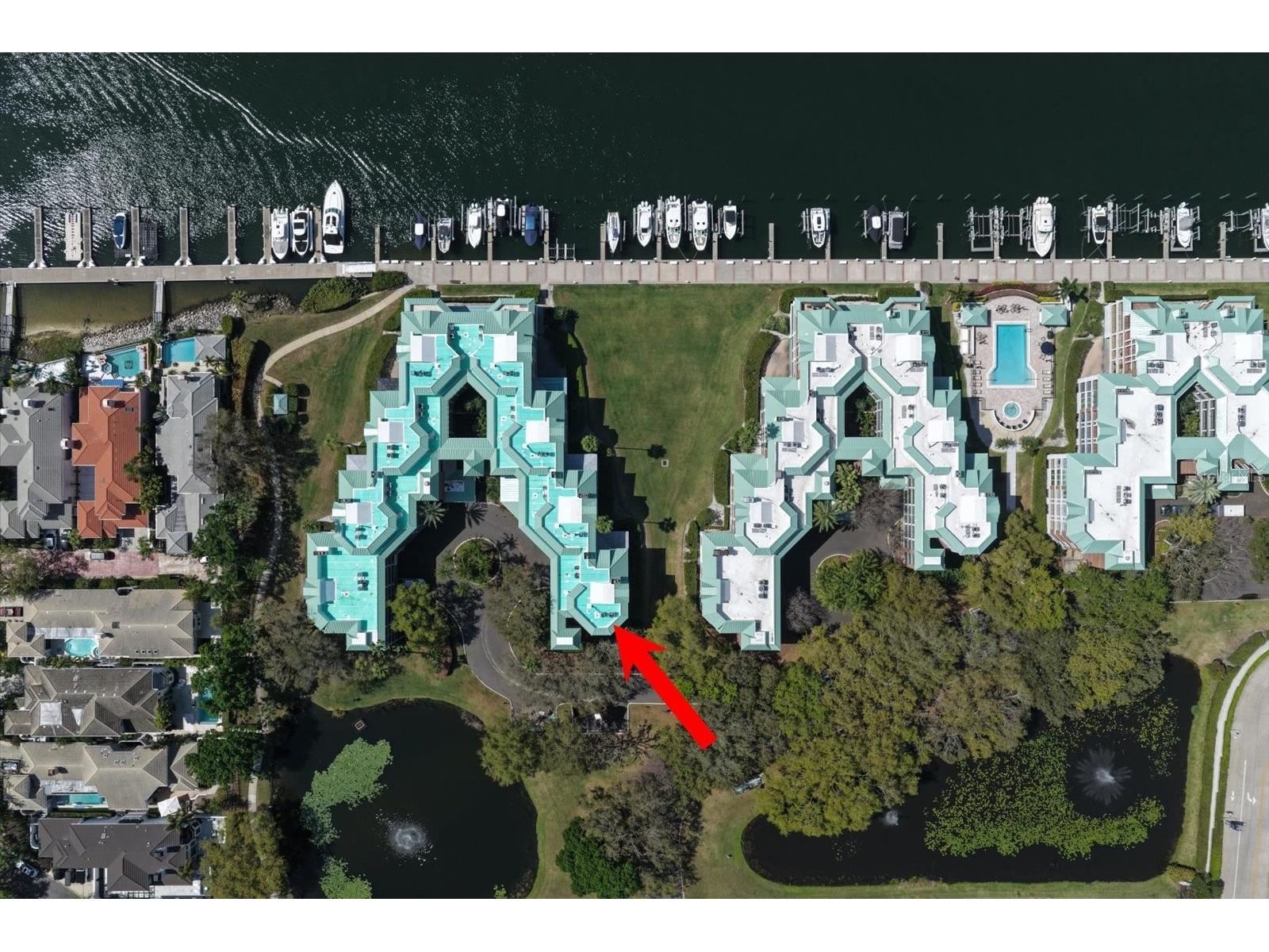 947 Seddon Cove Way #947 Tampa FL 33602 TB8485195 image5