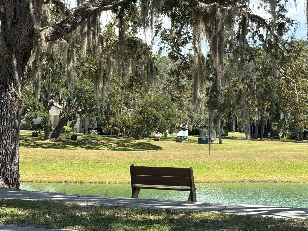 9470 Nakoma Way Weeki Wachee FL 34613 W7879420 image42