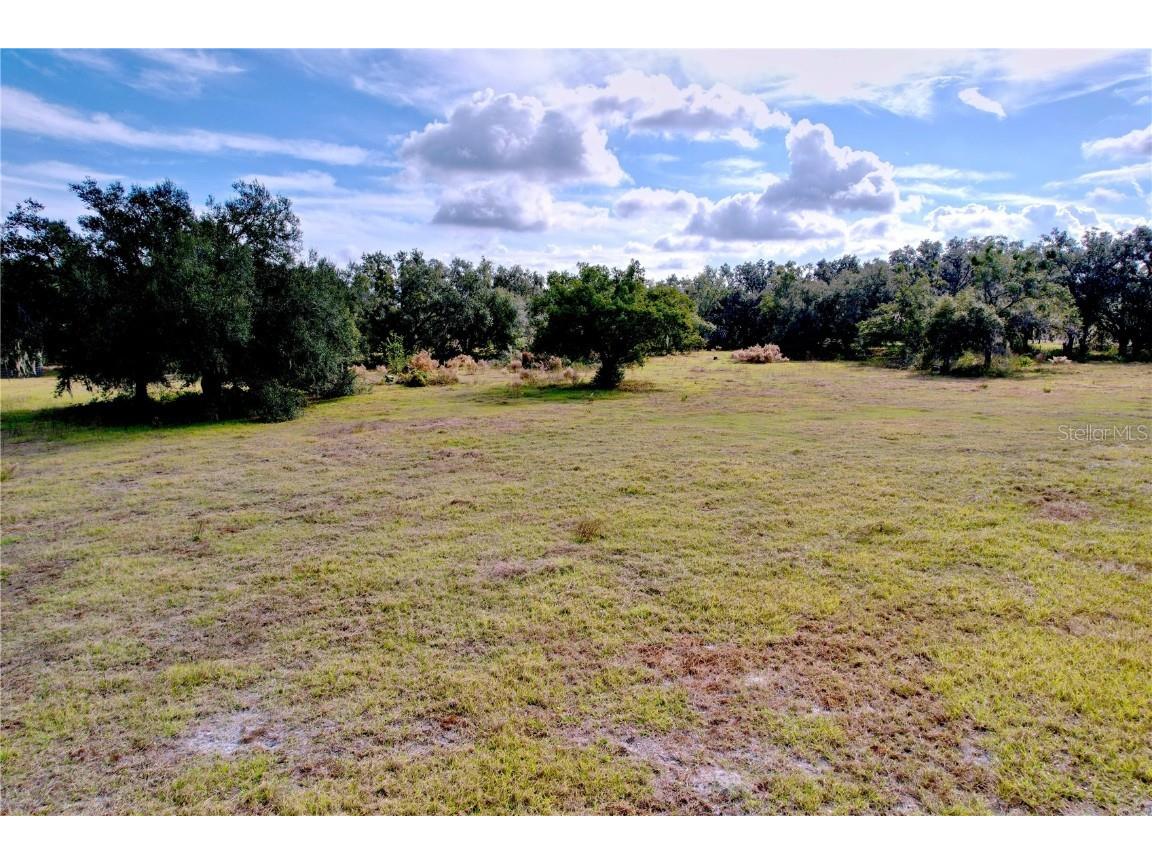 9471 Mcintosh Road Dover FL 33527 TB8457175 image28