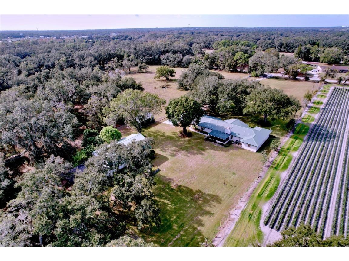 9471 Mcintosh Road Dover FL 33527 TB8457175 image30