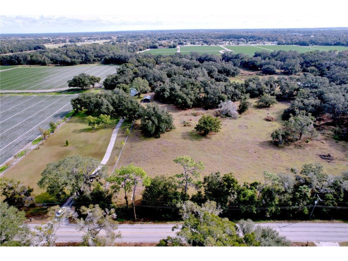 9471 Mcintosh Road Dover FL 33527 TB8457175 image31