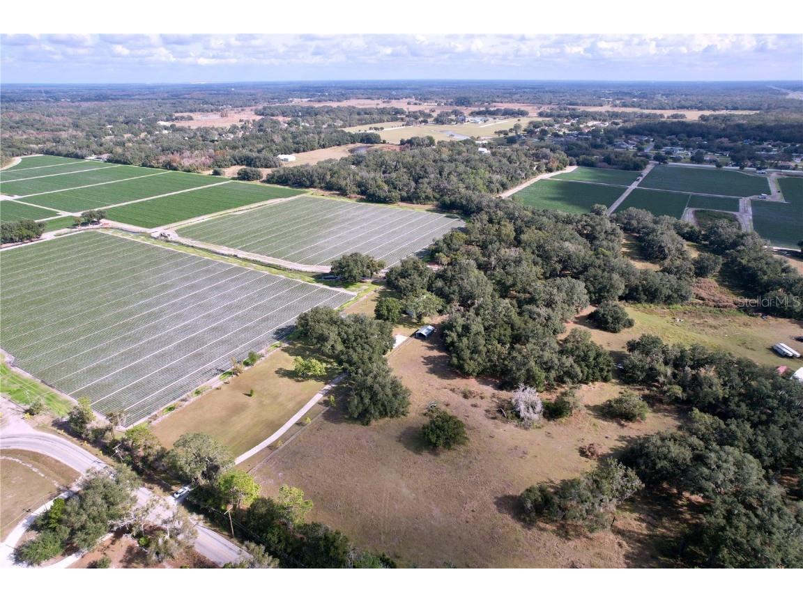 9471 Mcintosh Road Dover FL 33527 TB8457175 image32