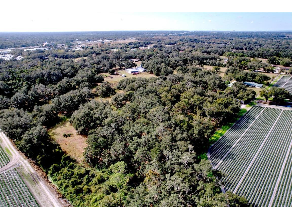 9471 Mcintosh Road Dover FL 33527 TB8457175 image35