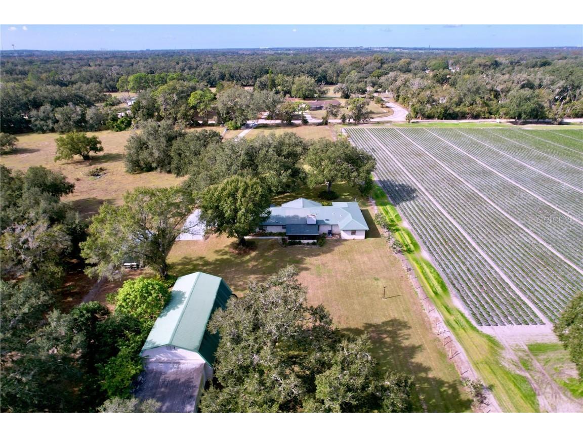 9471 Mcintosh Road Dover FL 33527 TB8457175 image36