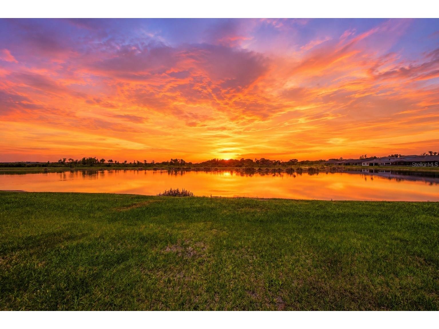 9471 Runaway Breeze Drive Land O Lakes FL 34637 TB8511748 image61