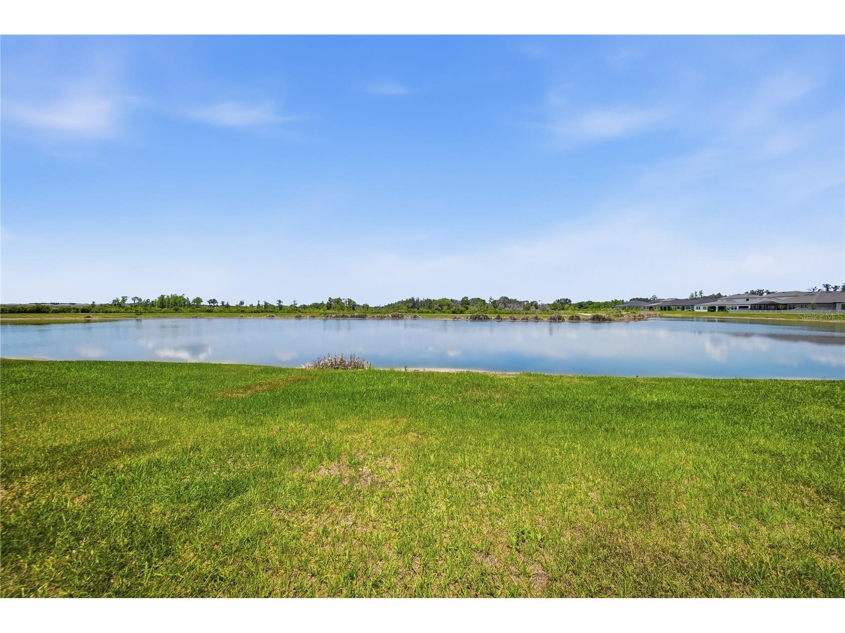 9471 Runaway Breeze Drive Land O Lakes FL 34637 TB8511748 image62