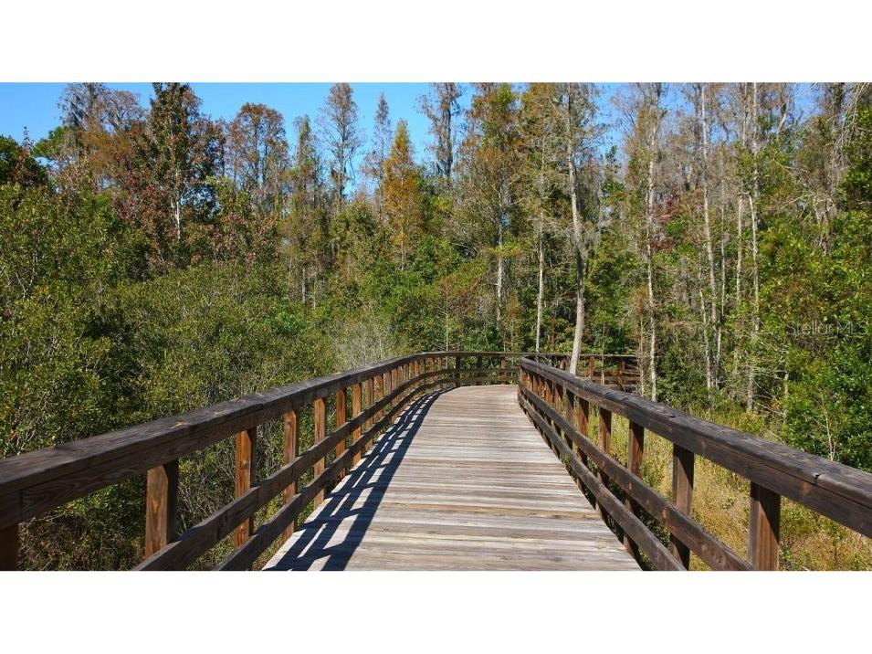 9471 Runaway Breeze Drive Land O Lakes FL 34637 TB8511748 image75