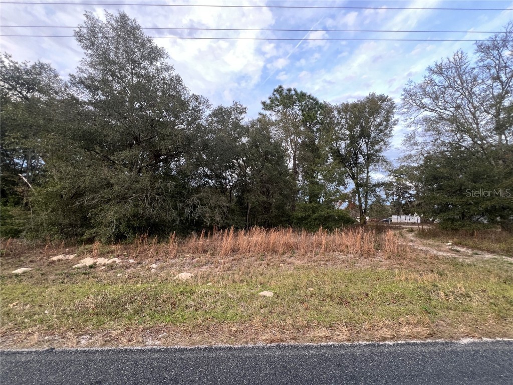 9473 SW 105th Street Ocala FL 34481 OM671985 image1