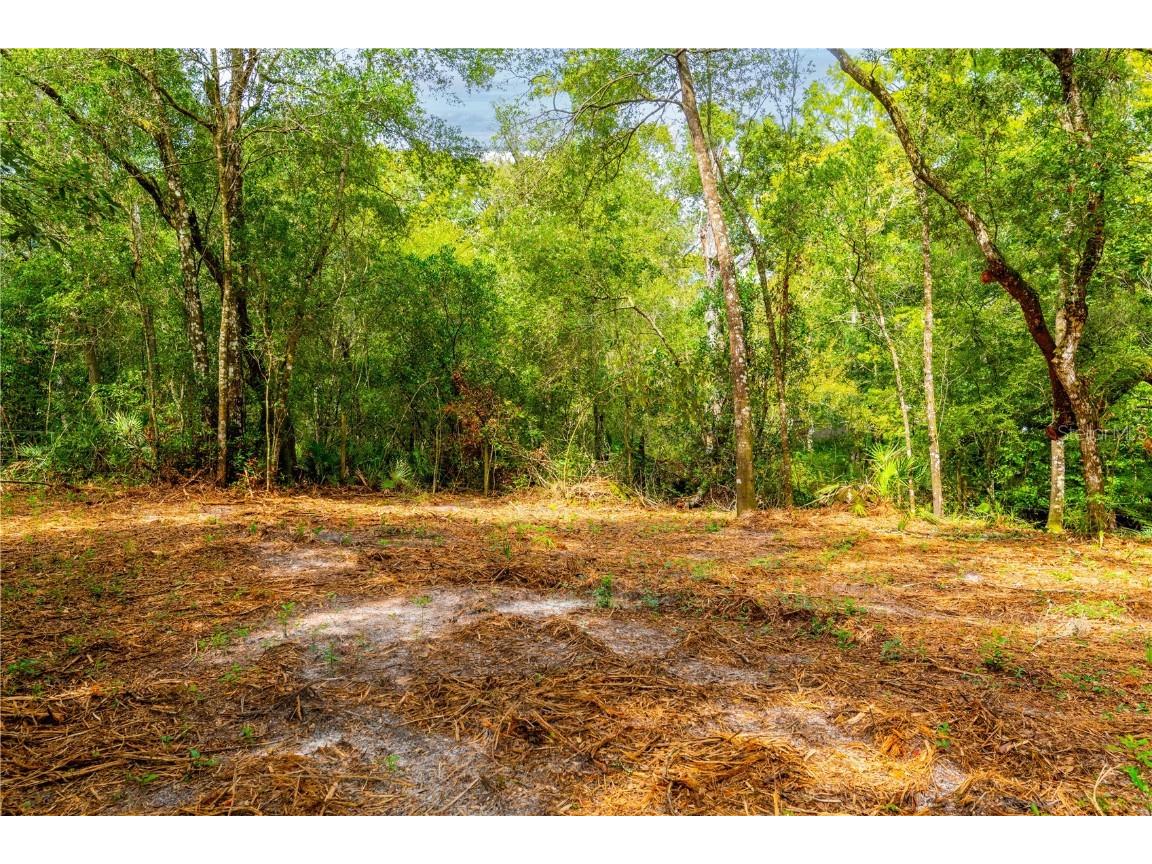 9473 Treiman Boulevard Webster FL 33597 - LITTLE WITHLACOOCHEE RIVER W7865633 image1