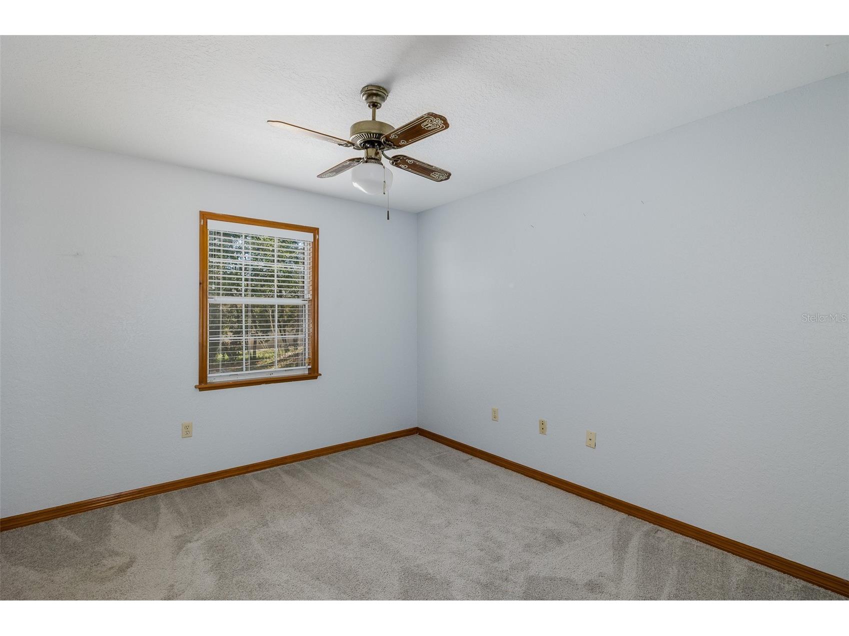 9474 Dunkirk Road Spring Hill FL 34608 TB8488640 image38