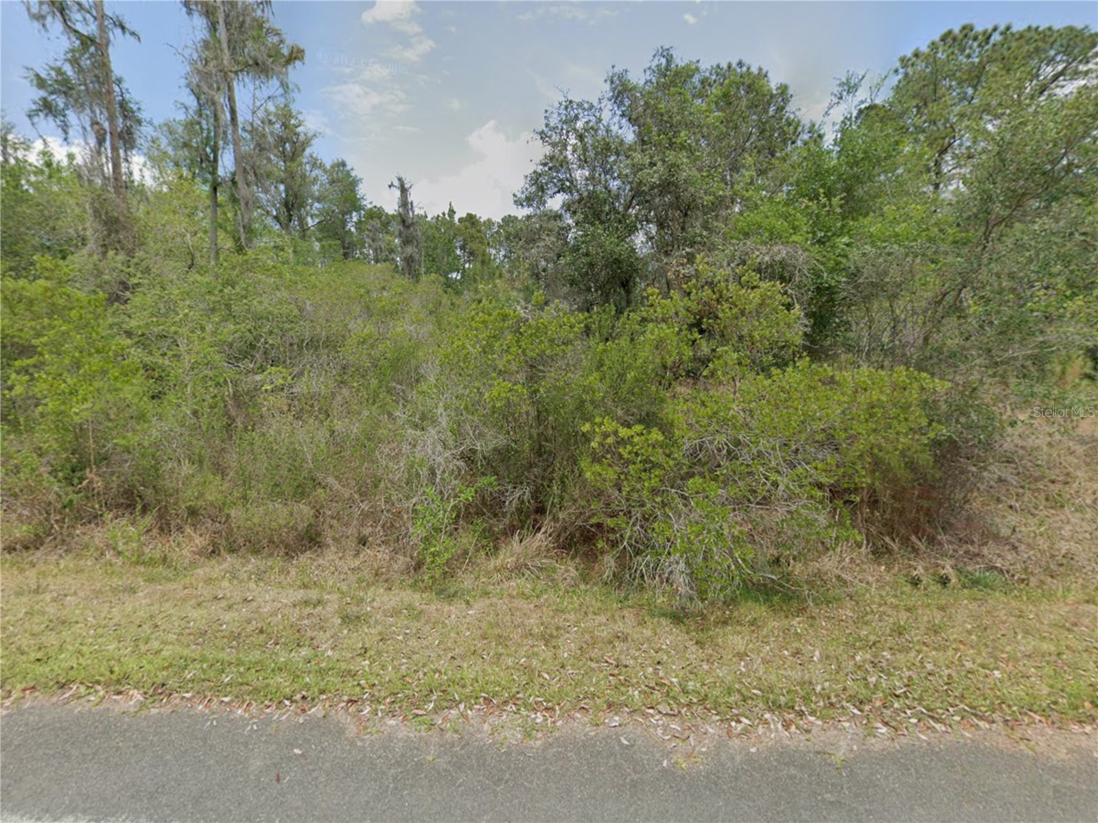 9474 N Bonsai Avenue Crystal River FL 34428 W7882778 image1