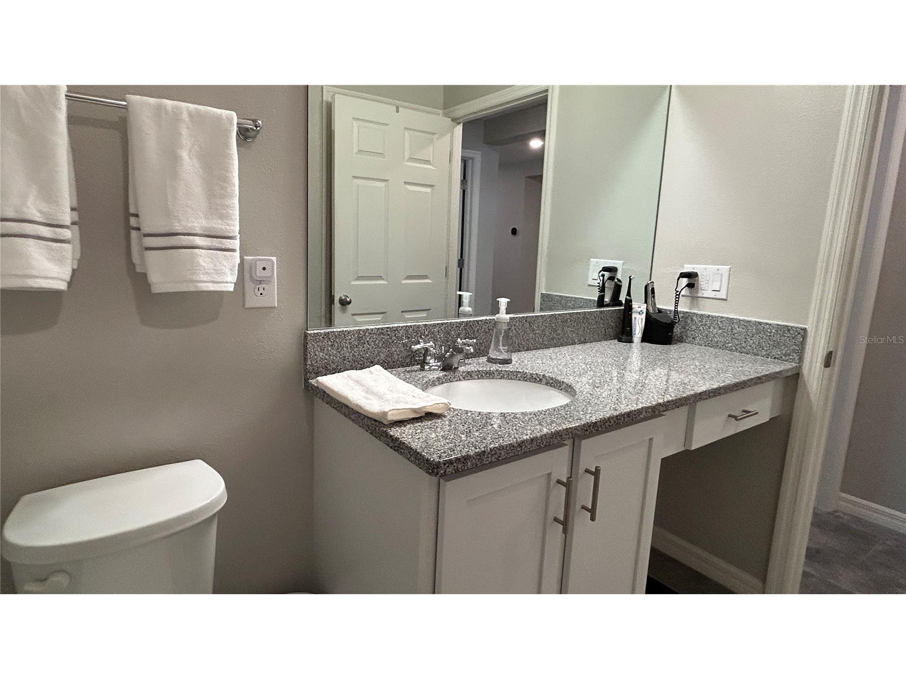 9475 Oakleaf Hammock Place Seffner FL 33584 O6384203 image20