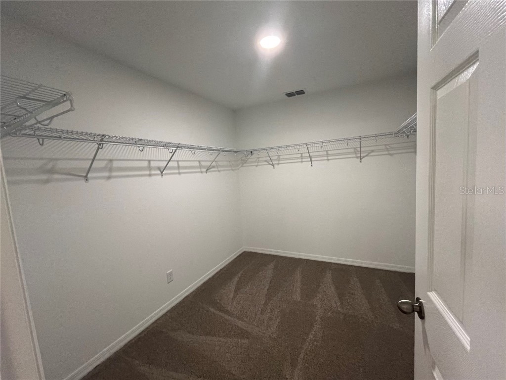 9476 Seagrass Port Pass Wesley Chapel FL 33545 O6341987 image25