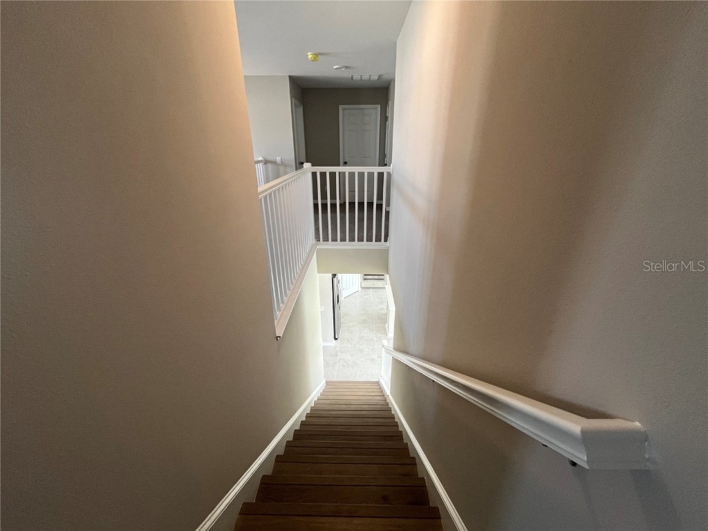 9476 Seagrass Port Pass Wesley Chapel FL 33545 O6341987 image38