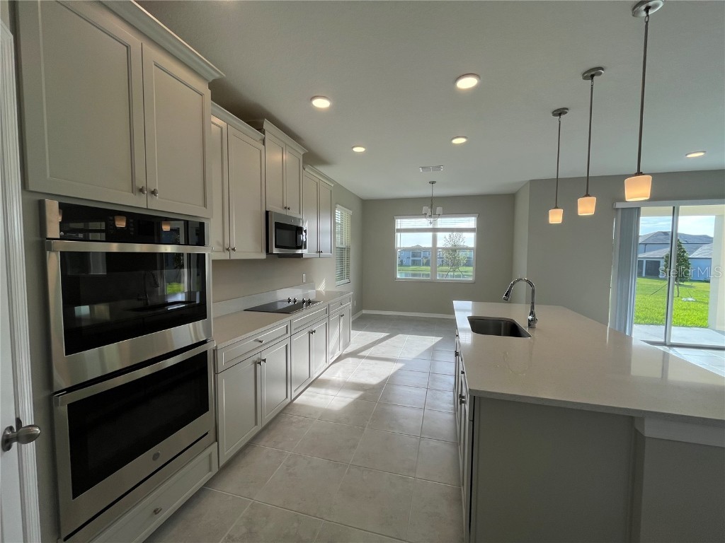 9476 Seagrass Port Pass Wesley Chapel FL 33545 O6341987 image8