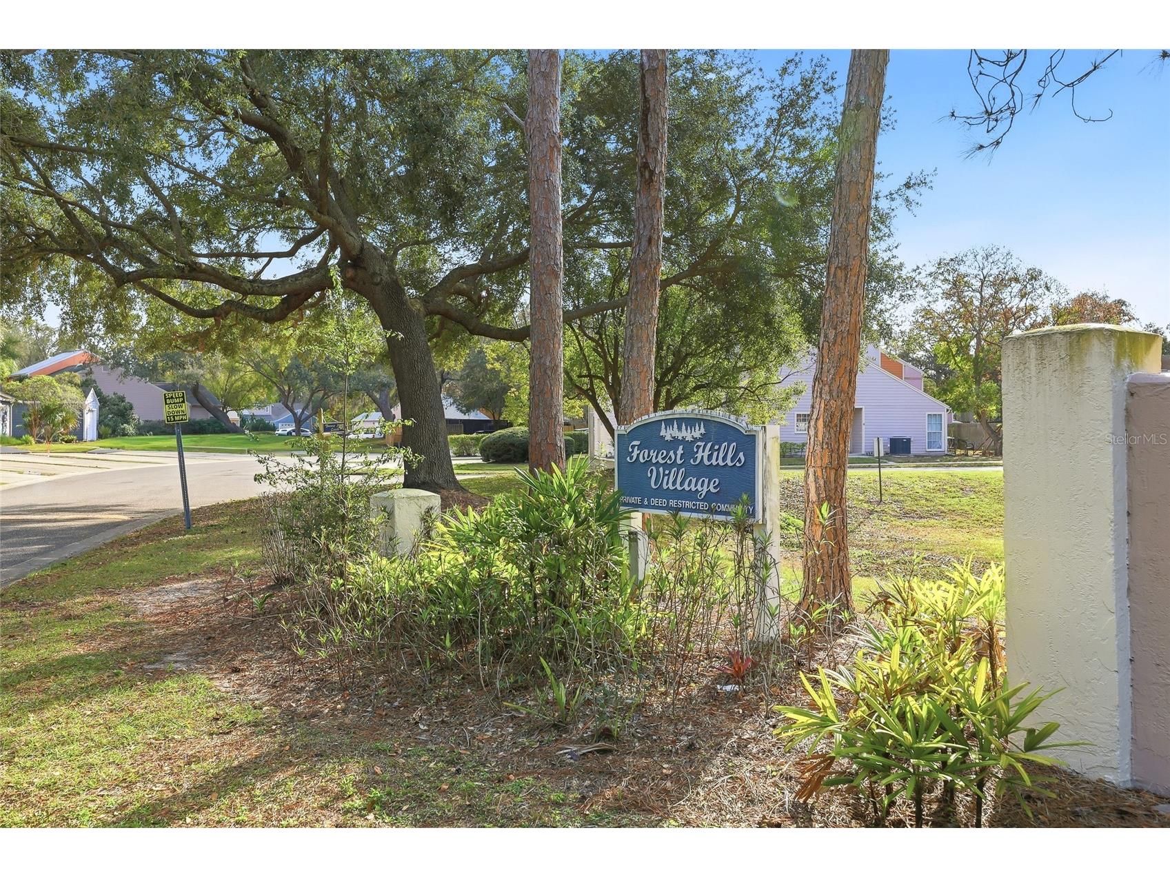 9478 Forest Hills Circle Tampa FL 33612 TB8464825 image35